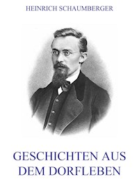 Geschichten aus dem Dorfleben - Heinrich Schaumberger - E-Book