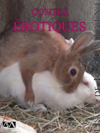 Contes (érotiques) - Jean de La Fontaine - E-Book