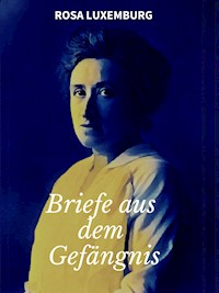 Briefe aus dem Gefängnis - Rosa Luxemburg - E-Book