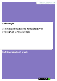 Molekulardynamische Simulation von Flüssig-Gas-Grenzflächen - Sadik Mejid - E-Book