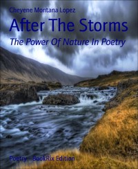After The Storms - Cheyene Montana Lopez - E-Book