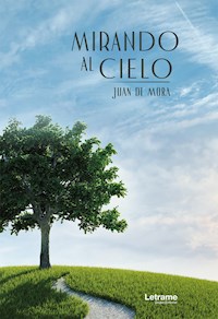 Mirando al cielo - Juan de Mora - E-Book