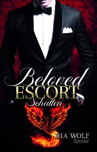 Beloved Escort - Schatten - Ria Wolf - E-Book