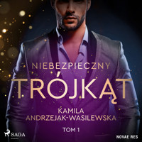 Niebezpieczny trójkąt. Tom 1 - Kamila Andrzejak-Wasilewska - Hörbuch