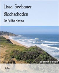 Blechschaden - Lissa Seebauer - E-Book