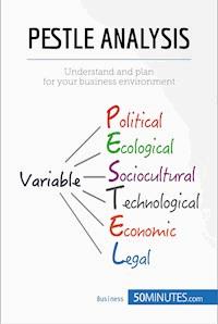 PESTLE Analysis - 50minutes - E-Book
