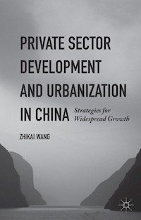 Private Sector Development and Urbanization in China - Zhikai Wang - E-Book