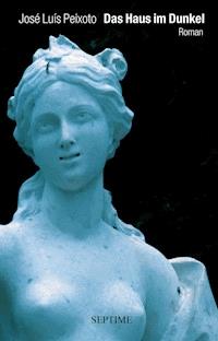 Das Haus im Dunkel - José Luís Peixoto - E-Book