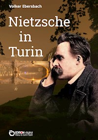 Nietzsche in Turin - Volker Ebersbach - E-Book