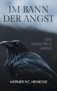 Im Bann der Angst - Werner R.C. Heinecke - E-Book