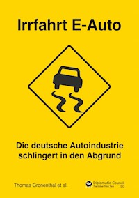 Irrfahrt E-Auto - Thomas Gronenthal - E-Book