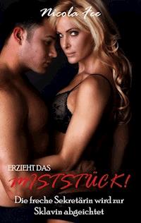 Erzieht das Miststück! - Die freche Sekretärin wird zur Sklavin abgerichtet - Nicola Fee - E-Book