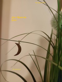 Mond der Seelen - Jana Alegra Martines - E-Book