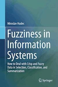 Fuzziness in Information Systems - Miroslav Hudec - E-Book