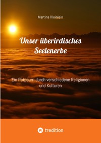 Unser überirdisches Seelenerbe - Martina Kleinlein - E-Book