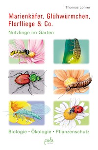 Marienkäfer, Glühwürmchen, Florfliege & Co. - Thomas Lohrer - E-Book