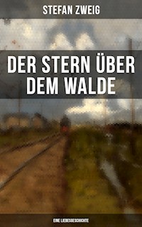 Der Stern über dem Walde: Eine Liebesgeschichte - Zweig Stefan - E-Book