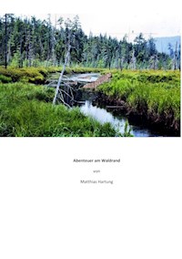 Abenteuer am Waldrand - Matthias Hartung - E-Book