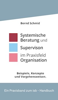 Systemische Beratung und Supervision im Praxisfeld Organisation - Bernd Schmid - E-Book