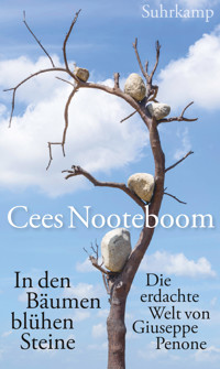 In den Bäumen blühen Steine - Cees Nooteboom - E-Book