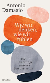 Wie wir denken, wie wir fühlen - Antonio Damasio - E-Book