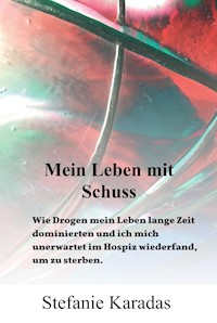 Mein Leben mit Schuss - Stefanie Karadas - E-Book