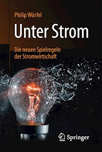 Unter Strom - Philip Würfel - E-Book