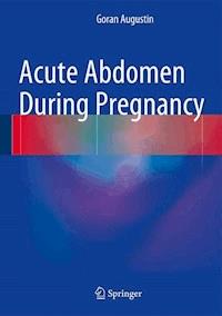 Acute Abdomen During Pregnancy - Goran Augustin - E-Book