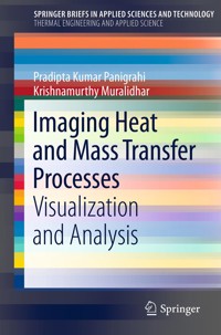 Imaging Heat and Mass Transfer Processes - Pradipta Kumar Panigrahi - E-Book