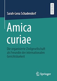 Amica curiae - Sarah-Lena Schadendorf - E-Book