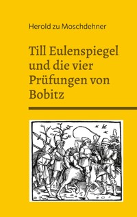 Till Eulenspiegel und die vier Prüfungen von Bobitz - Herold zu Moschdehner - E-Book