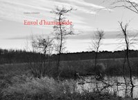 Envol d'humanoïde - Frédéric Lienard - E-Book
