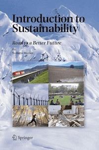 Introduction to Sustainability - Nolberto Munier - E-Book