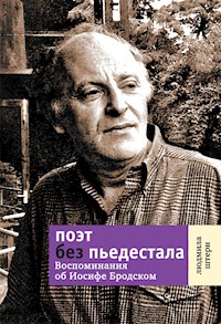 Поэт без пьедестала - Людмила Штерн - E-Book