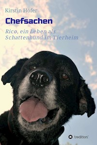 Chefsachen - Kirstin Höfer - E-Book