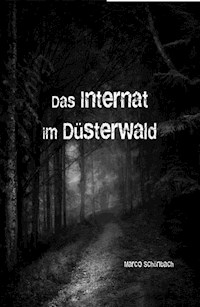 Das Internat im Düsterwald - Marco Schönbach - E-Book
