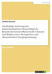 Nachhaltige Sicherung des Industriestandortes Deutschland im Kontext des Grünen Wasserstoffs. Chancen und Risiken einer ökologischen und ökonomischen Energiegewinnung - Serhat Kanara - E-Book