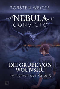 Die Grube von Wounshu: Im Namen des Rates 3 - Torsten Weitze - E-Book