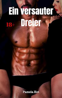 Ein versauter Dreier - Pamela Hot - E-Book