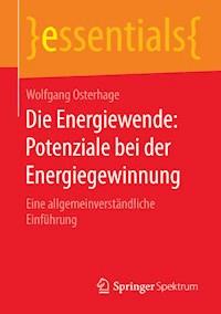 Die Energiewende: Potenziale bei der Energiegewinnung - Wolfgang Osterhage - E-Book