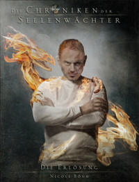Die Chroniken der Seelenwächter - Band 12: Die Erlösung - Nicole Böhm - E-Book