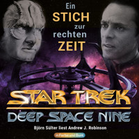 Star Trek: Deep Space Nine - Ein Stich zur rechten Zeit - Andrew J. Robinson - Hörbuch