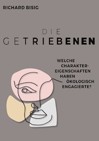 Die Getriebenen - Richard Bisig - E-Book