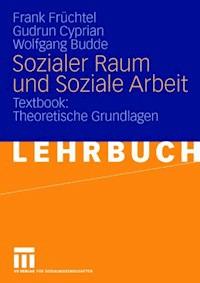 Sozialer Raum und Soziale Arbeit - Frank Früchtel - E-Book