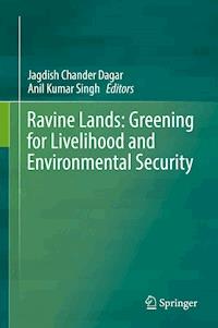 Ravine Lands: Greening for Livelihood and Environmental Security -  - E-Book