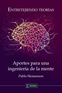 Entretejiendo teorías - Pablo Slemenson - E-Book