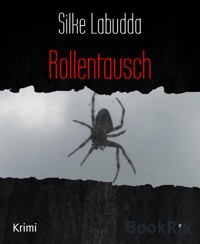 Rollentausch - Silke Labudda - E-Book