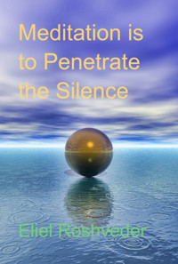 Meditation Is To Penetrate The Silence - Eliel Roshveder - E-Book