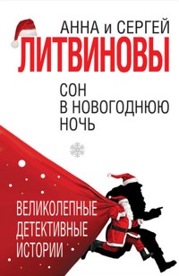 Сон в новогоднюю ночь - Анна Литвинова - E-Book