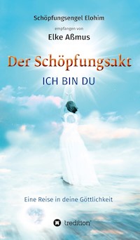 Der Schöpfungsakt - Elke Aßmus - E-Book